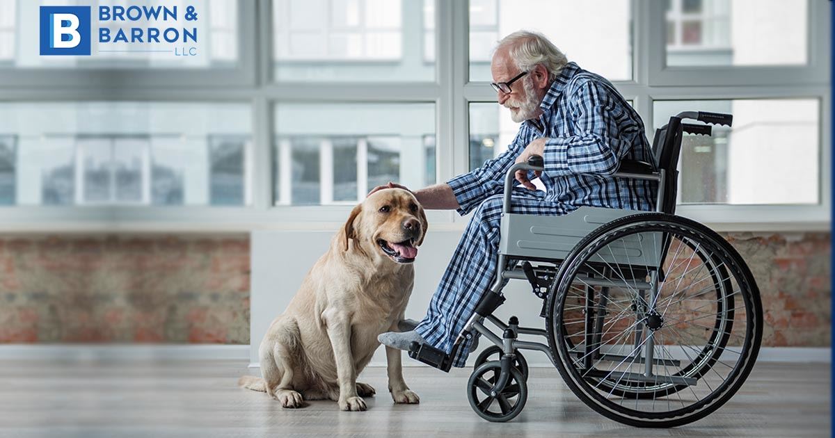 Pet Therapy Benefits for Stroke Victims